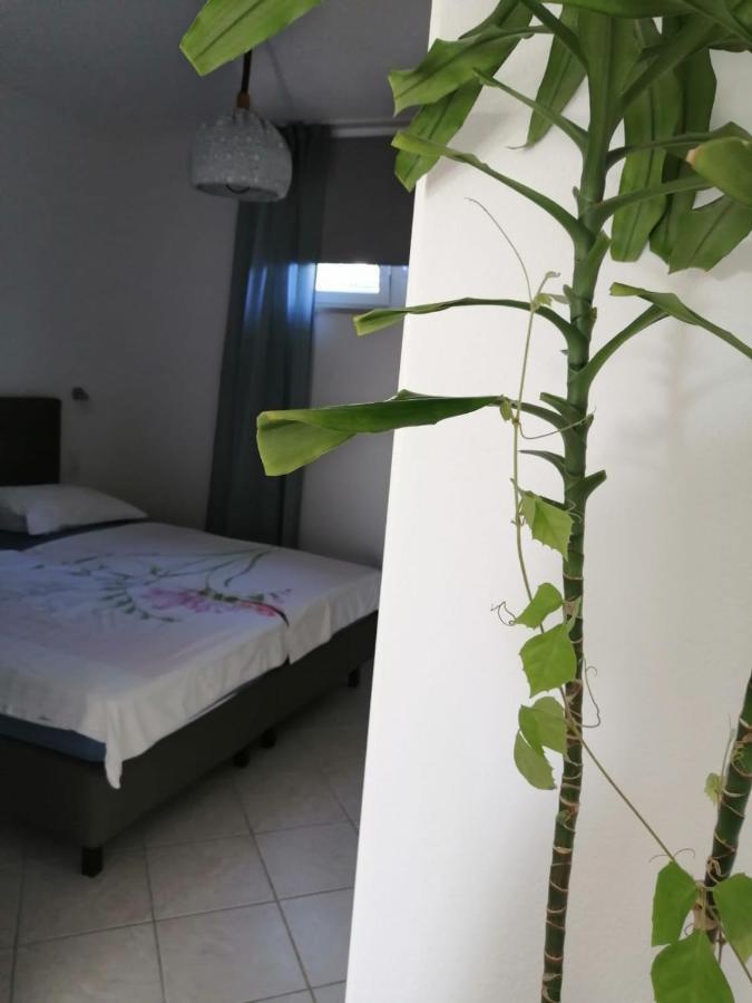 Apartmán Kuca Moni Medulin